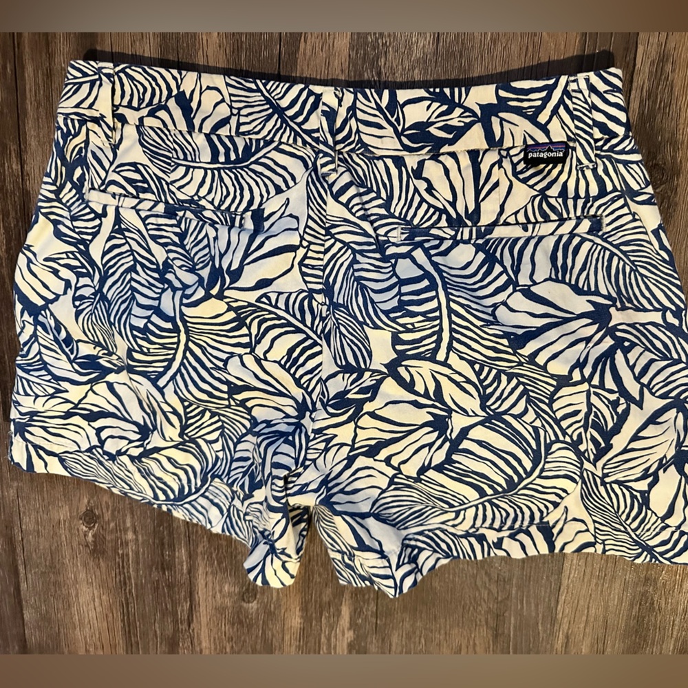 Patagonia blue and white shorts.Great condition!!